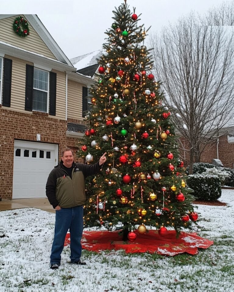 My Landlord Stole My Beautiful Christmas Tree and My Payback Was Harsh