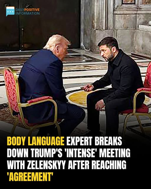 Body Language Expert Analyzes Trump and Zelenskyy’s Tense Meeting After ‘Agreement’ Reached