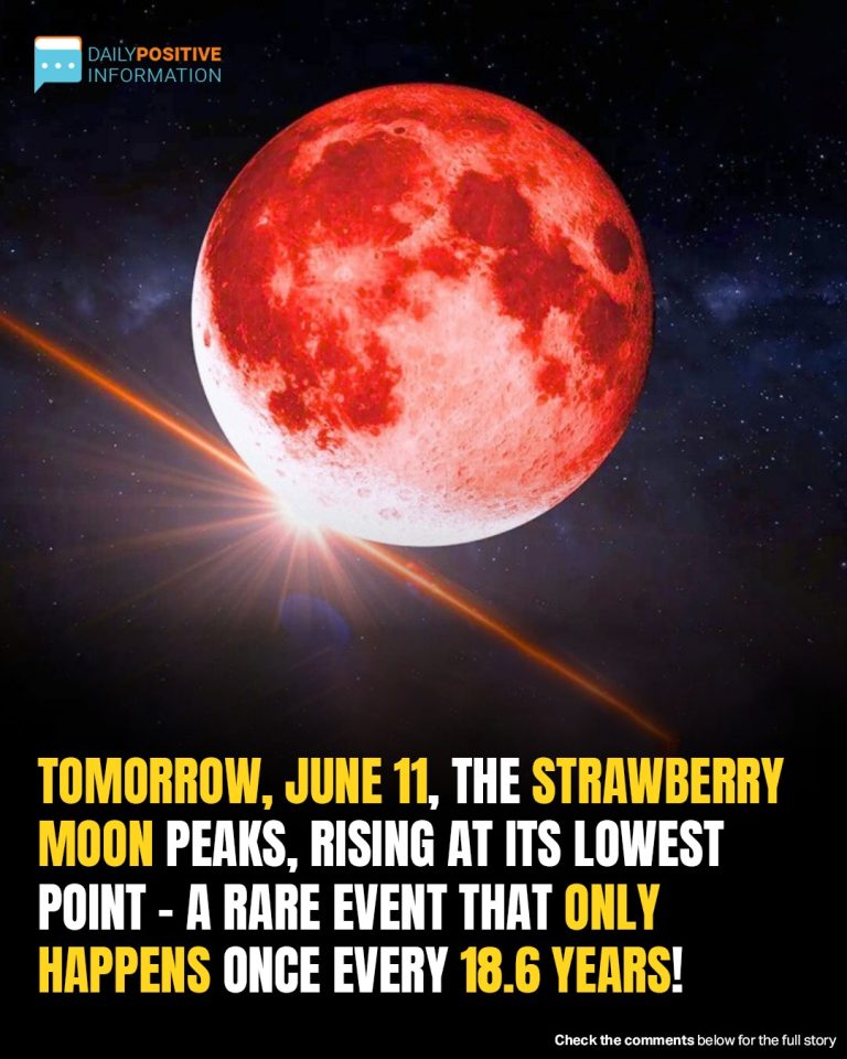 Get Ready For The Strawberry Full Moon On June 11th, A Celestial Magic You’ll Never Forget