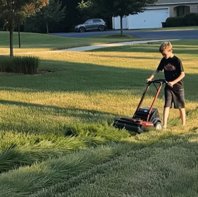 A Son’s Hard Work and a Mother’s Clever Justice