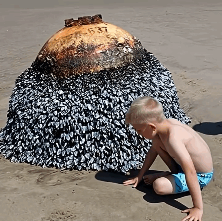 What This Dad Captured at the Beach Sparked an Urgent Response